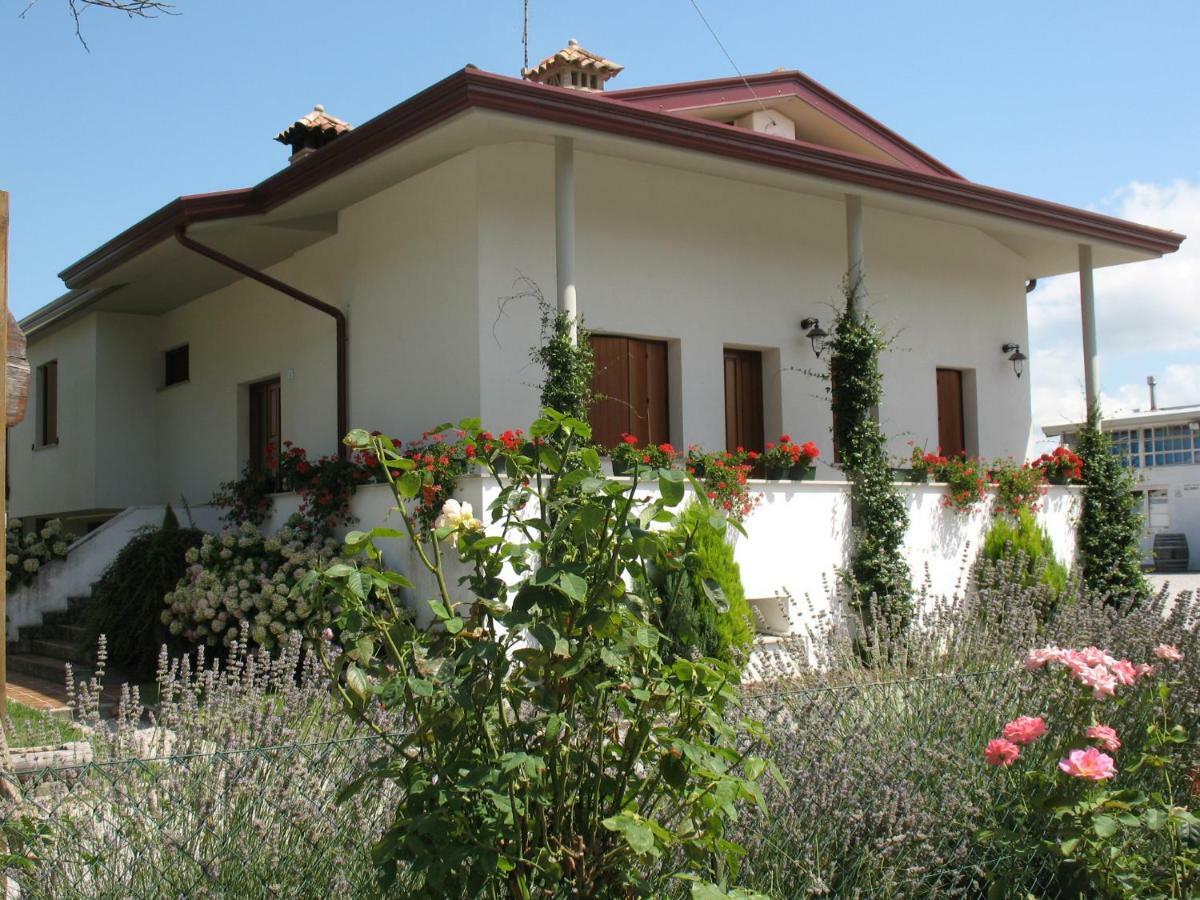 Agriturismo Ballaminut Terzo d' Aquileia Exterior photo